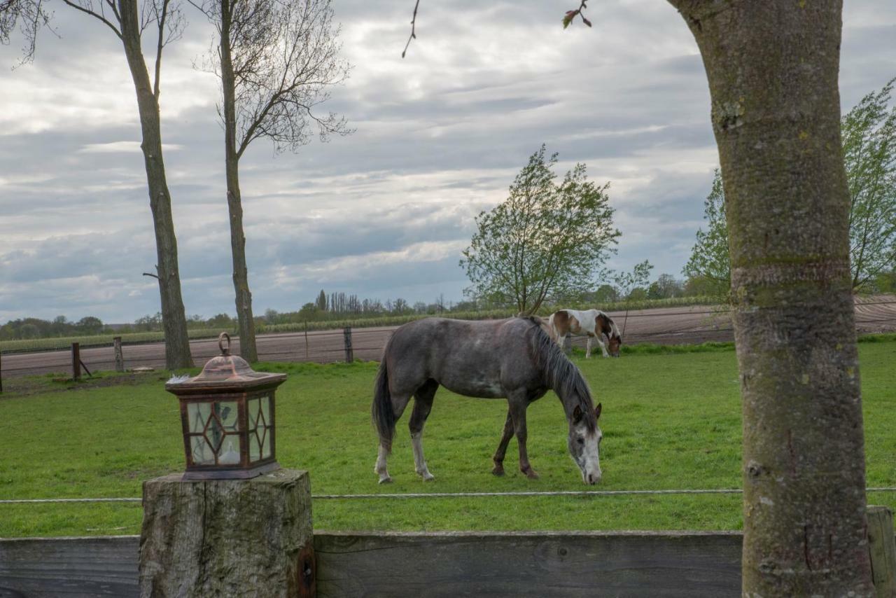 Вилла Boeren Biezen Bed Landelijk Экстерьер фото