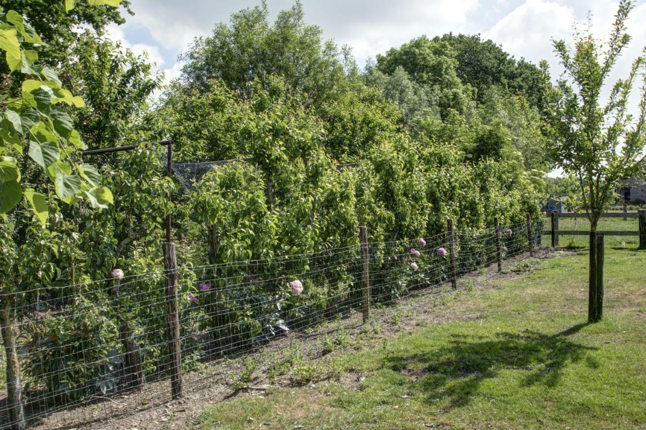 Вилла Boeren Biezen Bed Landelijk Экстерьер фото